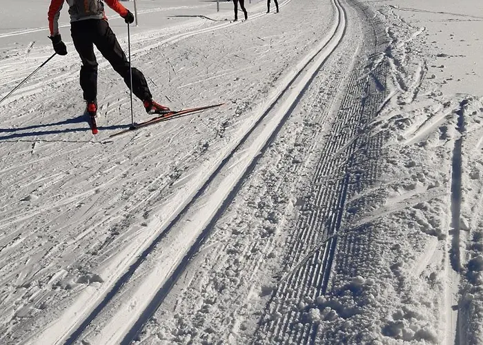 Bob - Abertham Apartamento Abertamy